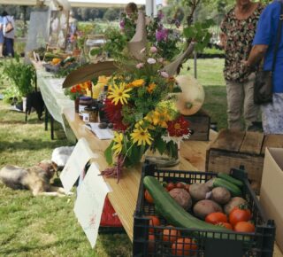 Op de Oogstmarkt op 7 september toont de Volkstuinvereniging de mooiste bloemen, groenten en fruit en de lekkerste huisgemaakte producten van eigen oogst. Voor elk van die 3 categorieƫn wordt een prijs uitgereikt. En jij als bezoeker kan de oogst ook kopen, het mooiste en lekkerste van de oogst!
De jury die de prijzen beoordeelt en om 12.00 uur uitreikt zijn:
- Jessica Zwartjes, tuinder van ecologische stadstuinderij Het Zoete Land: āAls biologisch tuinder let ik niet alleen op de buitenkant. De groeiomstandigheden en vitaliteit van de groente is misschien nog wel belangrijker.ā
- Aarnoud Monster, Opgegroeid tussen boter, kaas en eieren in de Weipoort, nu mede-eigenaar van De tuin van de smid. Ik ben Aarnoud, en ik vind het super leuk dat de Oogstmarkt tegen het decor van ons Vogelvoedselbos gehouden wordt.
- Ik ben Karin Swanenburg, heb al een aantal jaren een tuin op cronesteyn, waar ik met veel plezier moes en sier tuinier. Ik vind het leuk om mee te doen als jurylid, maar vind het zowieso geweldig dat trotse tuinders gewassen of bloemen laten zien
Over een dikke week, als het weer mooi weer wordt š¤bij De tuin van de smid, 7 september van 10.00 tot 17.00 en prijsuitreiking om 12.00 uur!
@detuinvandesmid @groen.cronesteyn @hetzoeteland #indepolder #cronesteyn #polderparkcronesteyn #oogstmarkt #oogsten #wedstrijd #prijsuitreiking