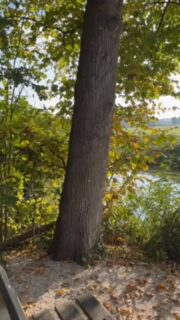 Goeiemorgen Cronesteyn! Rust in het polderpark ā¦.
#polderparkcronesteyn #leidenstadvanontdekkingen #cronesteyn #polderpark #leiden #sleutelstad
Video van @de_smid