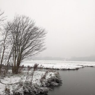 Cronesteyn in de sneeuw deze morgen. Dat behoeft geen verder commentaar! Genieten!!!!
📷 Helma van der steen - Zijlst
#polderparkcronesteyn #sneeuw #sneeuwpolder #sneeuwlandschap #prachtig