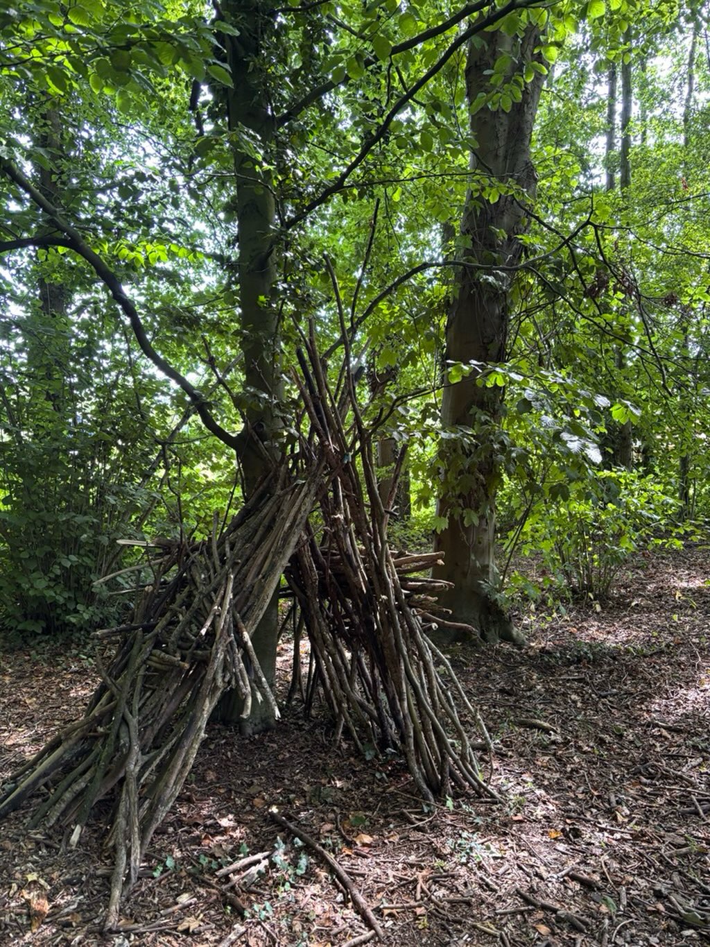 Cronesteyn park, de coolste/koelste speelplek van de stad 🥰

#polderparkcronesteyn #speeltuin #cool #eropuit #leidenstadvanontdekkingen