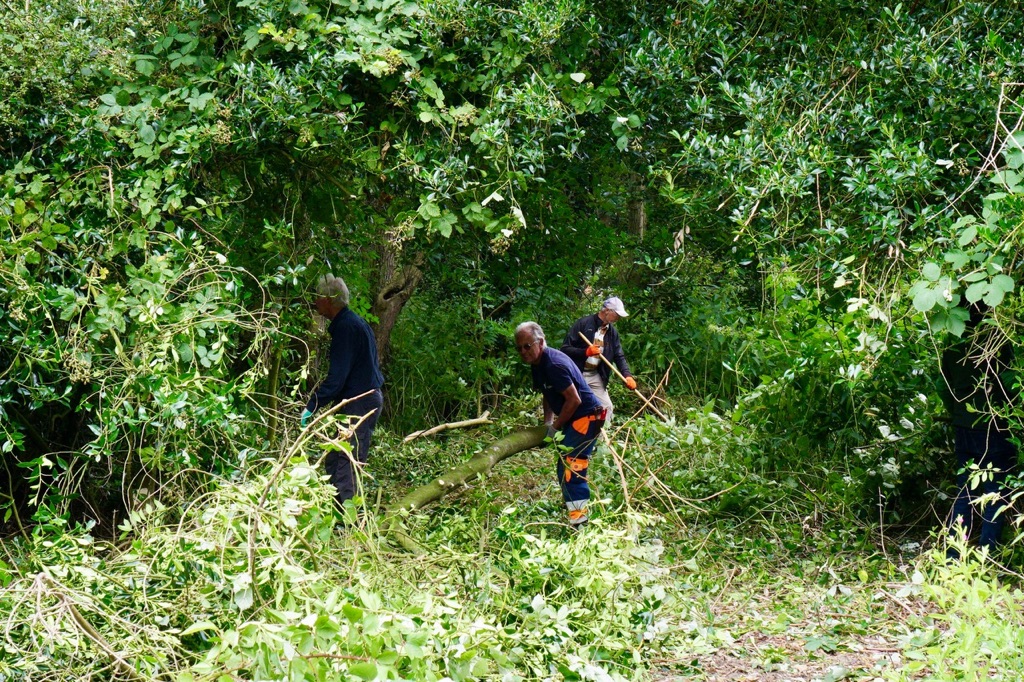drie mensen bezig met snoeien in het Reigersbos
